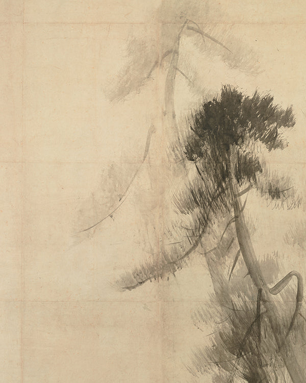 Pine Trees III
