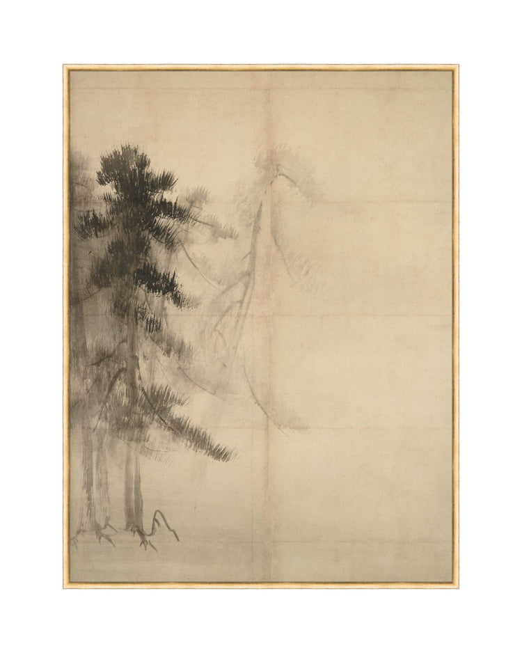 Pine Trees II