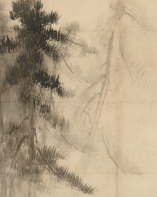 Pine Trees II