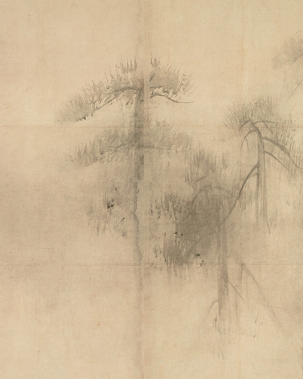 Pine Trees I