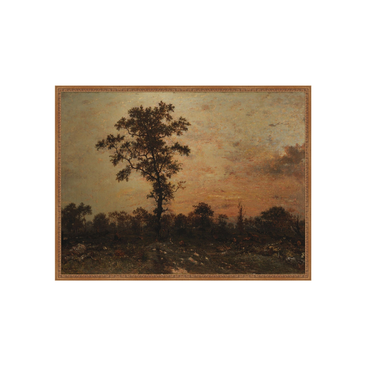 Forest At Dawn AIShop