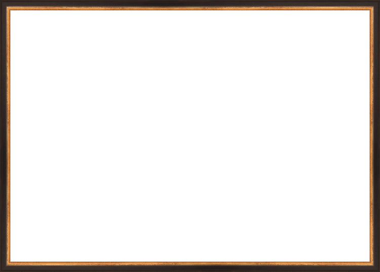 Traditional Black and Gold Frame. Opening Size: 19x27. Final Size: 20'' X 28''