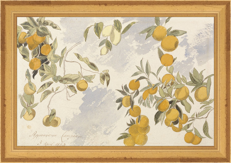 Framed Orangerie. Frame: Traditional Gold. Paper: Rag Paper. Art Size: 6x9. Final Size: 7'' X 10''