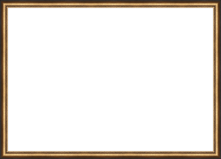 Distressed Gold and Black Frame. Opening Size: 19x27. Final Size: 20'' X 28''