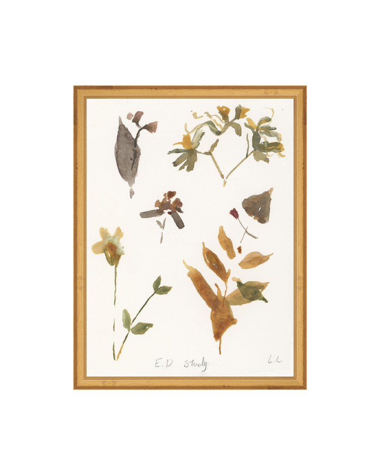 E.D Botanical Study