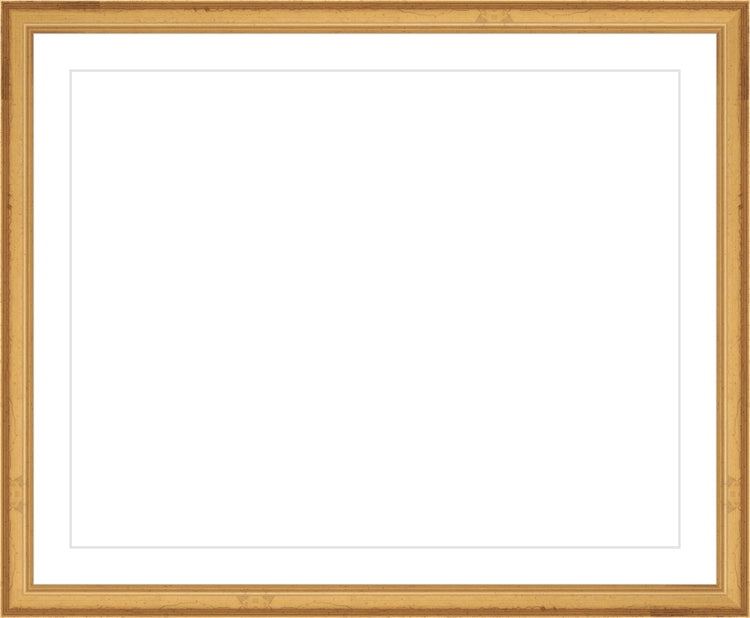 Traditional Gold Frame. Opening Size: 11x14. Final Size: 14'' X 17''