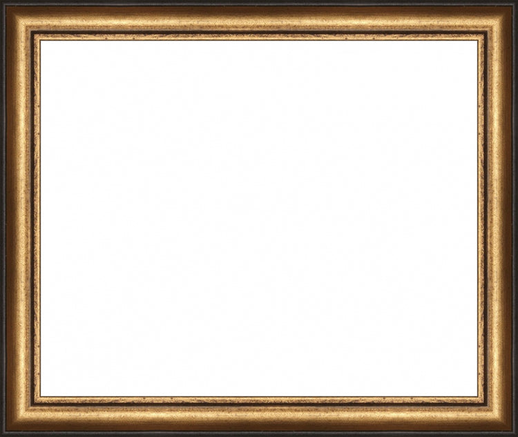 Distressed Gold and Black Frame. Opening Size: 9x11. Final Size: 10'' X 12''