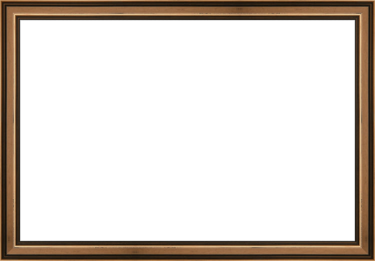 Traditional Bronze Frame. Opening Size: 10x15. Final Size: 11'' X 16''