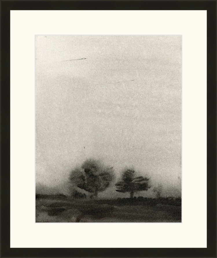Trees In The Mist OAShop 2