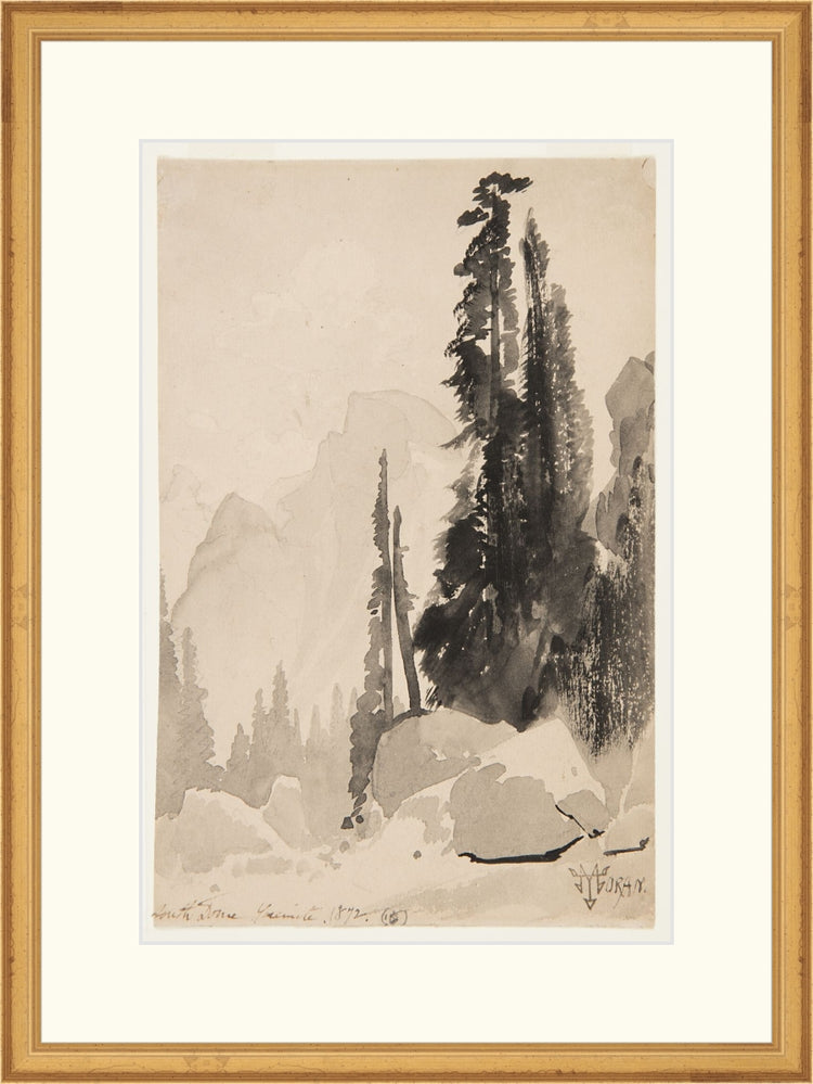 Antique Trees Drawing OAShop 2