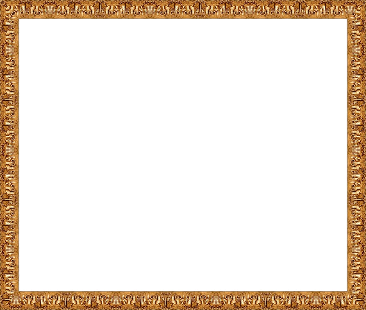 Valencia Gold Frame. Opening Size: 15x18. Final Size: 16'' X 19''