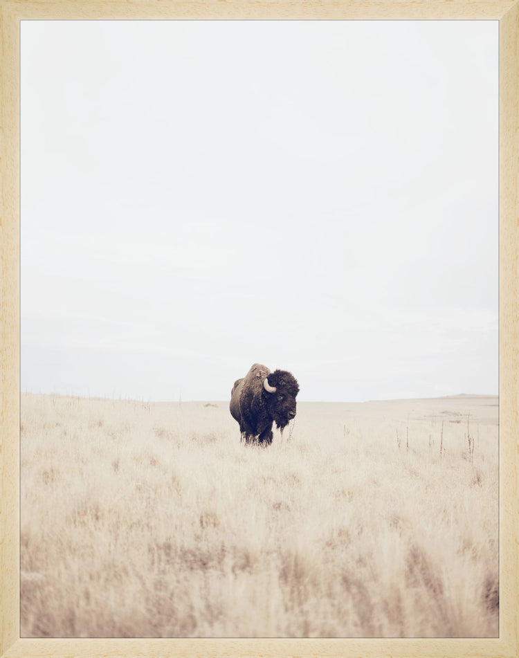 Uploaded Art:BlueBuffalo_11x14.jpg. Frame: Natural Matte Wood. Paper: Smooth Paper. Art Size: 18x14. Final Size: 18'' X 14''