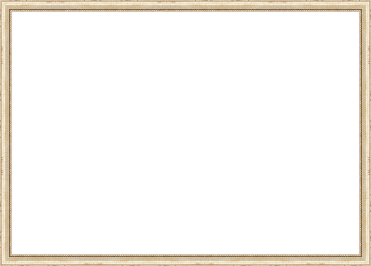 Timeless Silver Beaded Frame. Opening Size: 19x27. Final Size: 20'' X 28''