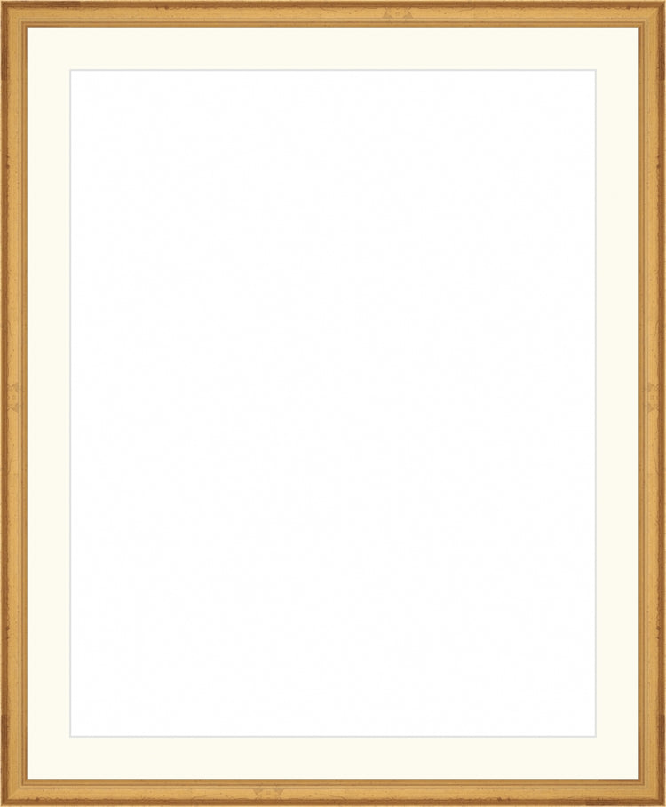 Traditional Gold Frame. Opening Size: 19x15. Final Size: 23'' X 19''