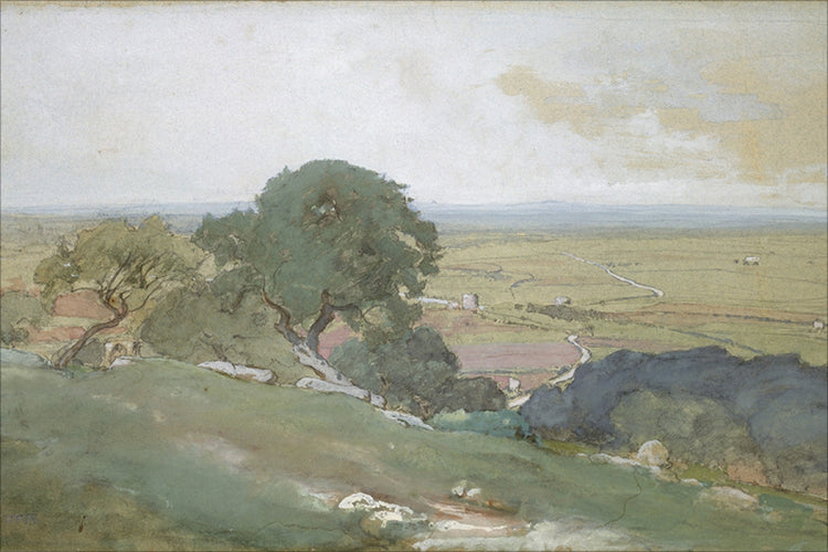 Framed Olivos. Frame: No Frame. Paper: Rag Paper. Art Size: 8x12. Final Size: 8'' X 12''