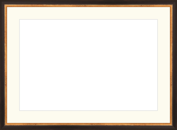 Traditional Black and Gold Frame. Opening Size: 10x15. Final Size: 14'' X 19''