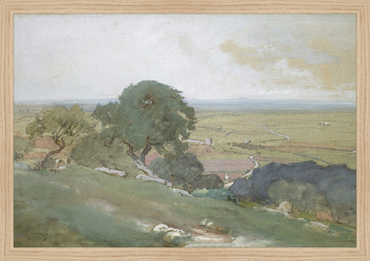 Framed Olivos. Frame: Natural Oak. Paper: Rag Paper. Art Size: 13x19. Final Size: 14'' X 20''