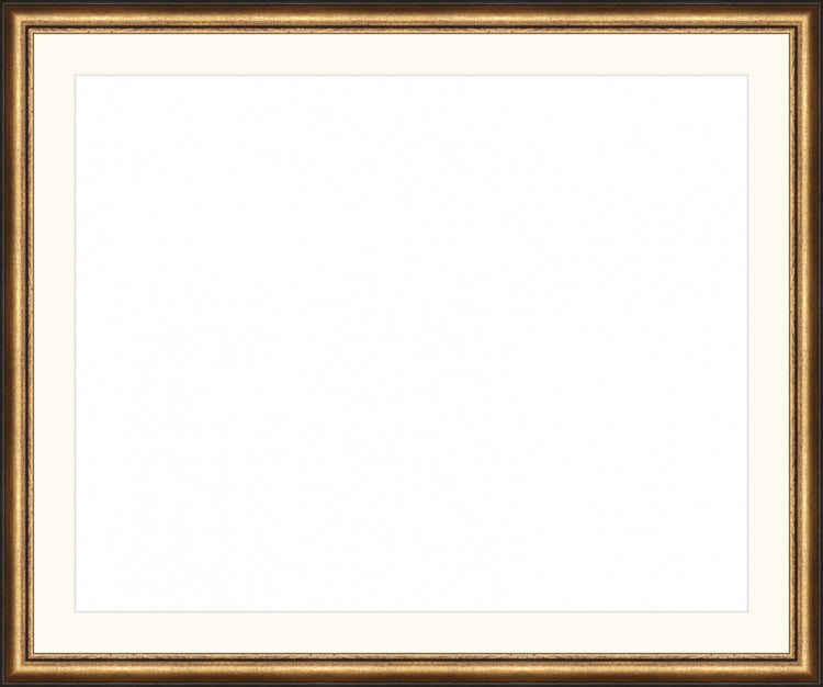 Distressed Gold and Black Frame. Opening Size: 16x20. Final Size: 20'' X 24''