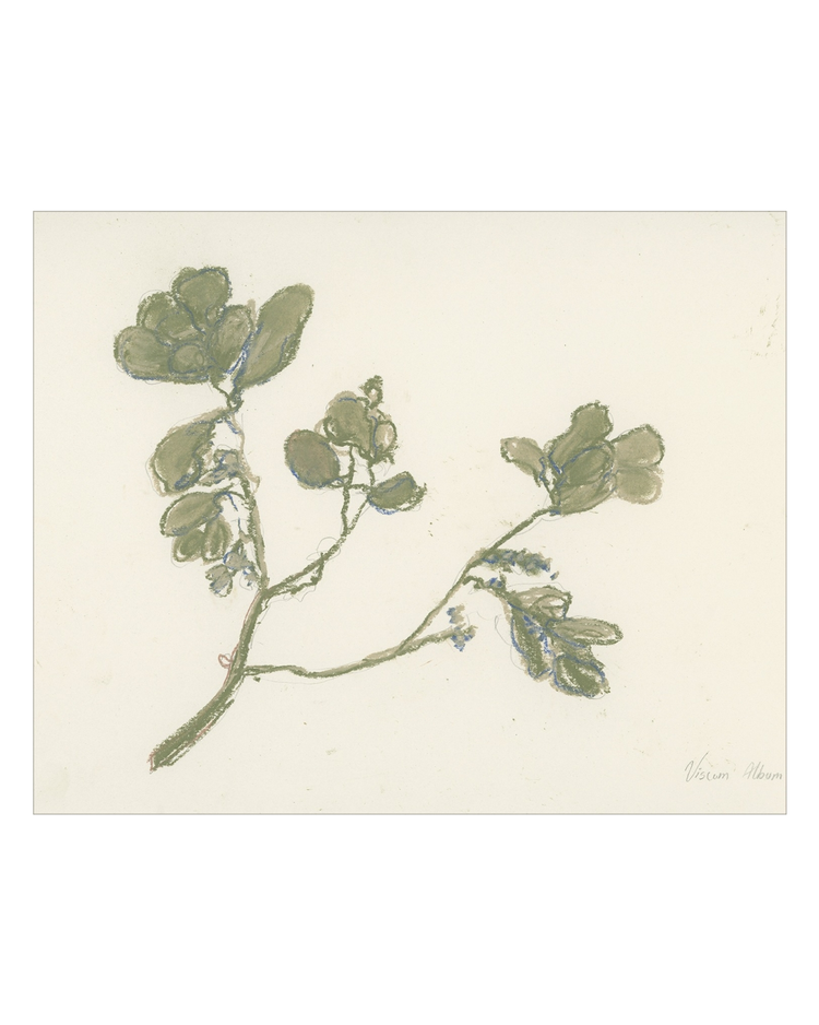 Pastel Mistletoe