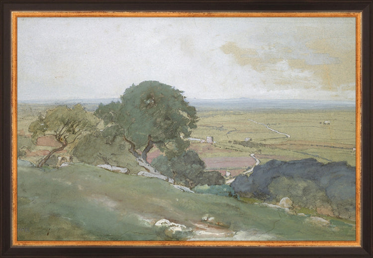 Framed Olivos. Frame: Traditional Black and Gold. Paper: Rag Paper. Art Size: 10x15. Final Size: 11'' X 16''