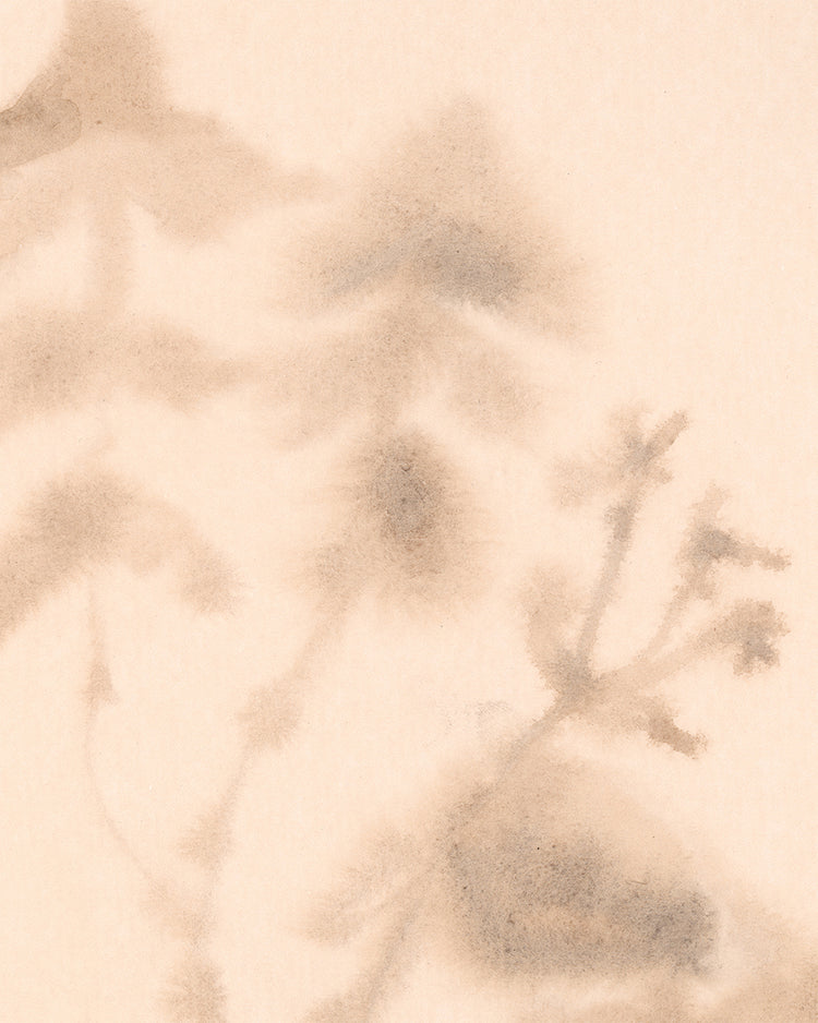 Abstract Botany Study