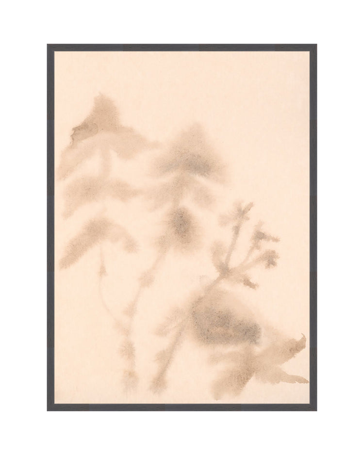 Abstract Botany Study
