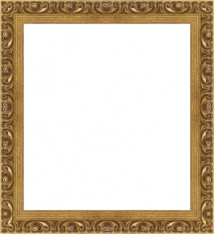 Gold Ornate Frame. Opening Size: 10x9. Final Size: 12'' X 11''