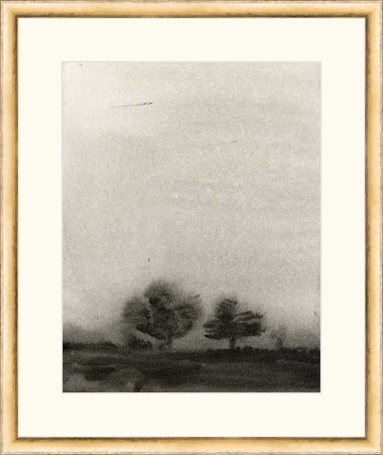 Trees In The Mist OAShop 2