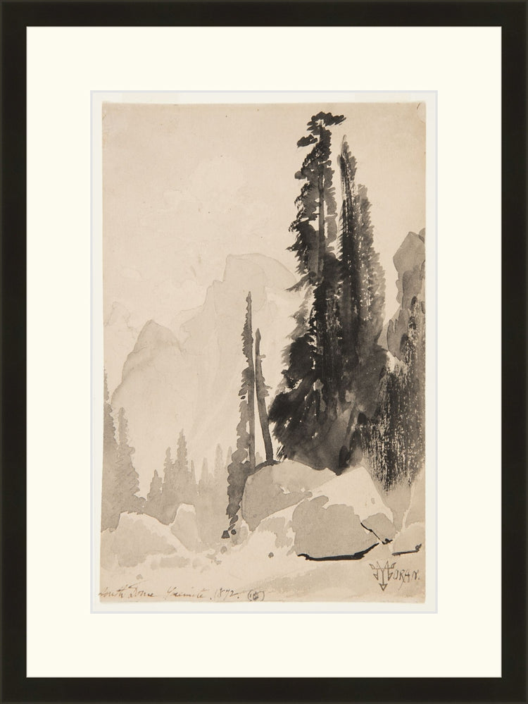 Antique Trees Drawing OAShop 2