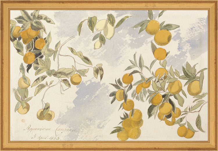 Framed Orangerie. Frame: Traditional Gold. Paper: Rag Paper. Art Size: 10x15. Final Size: 11'' X 16''