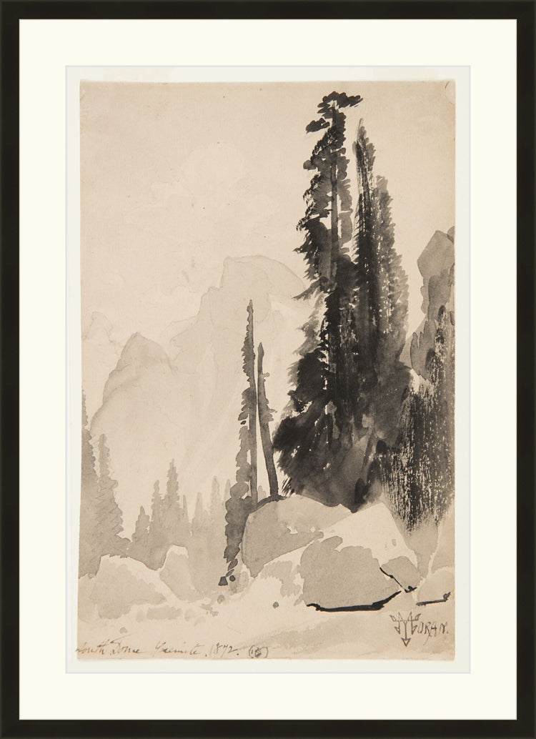 Antique Trees Drawing OAShop 2