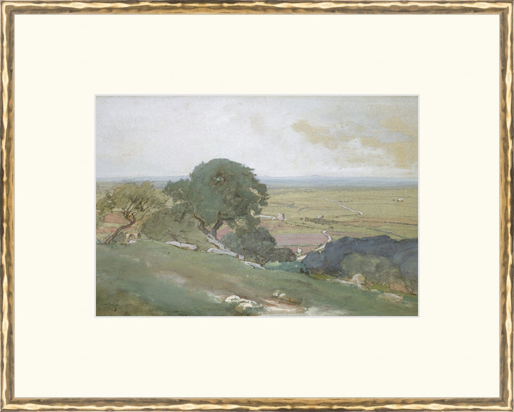 Framed Olivos. Frame: Gold Textured. Paper: Rag Paper. Art Size: 9x13. Final Size: 16'' X 20''