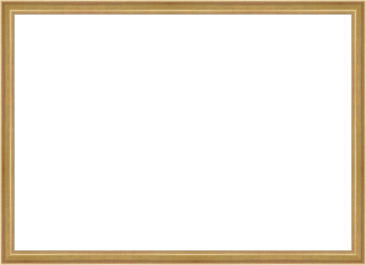 Light Gold Frame. Opening Size: 19x27. Final Size: 20'' X 28''