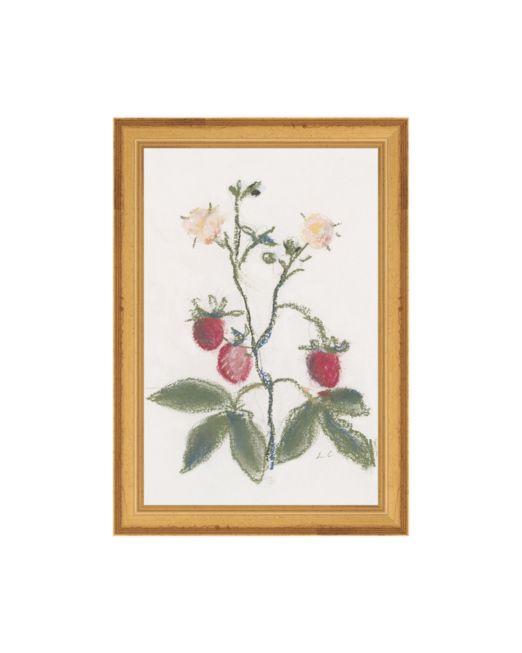 Strawberry Branch