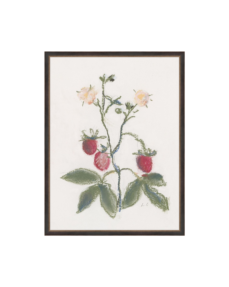 Strawberry Branch
