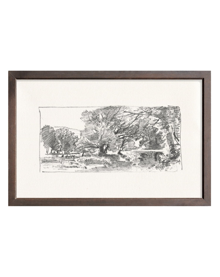 Charcoal Trees 3