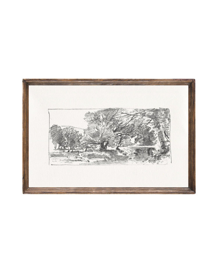 Charcoal Trees 3