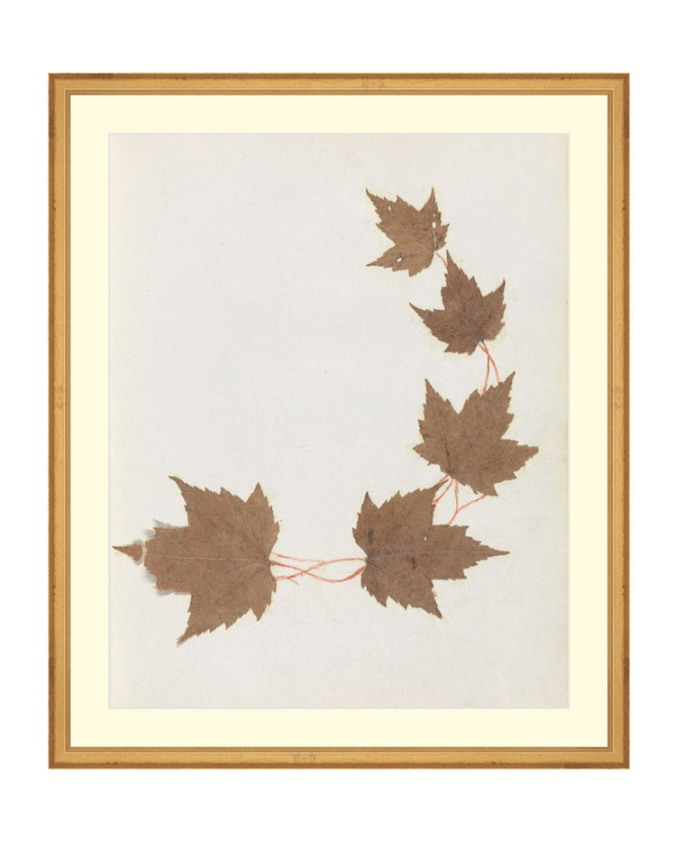 Autumnal Study I
