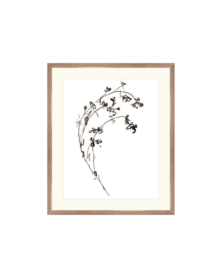 Botanical Ink Study I HoJ