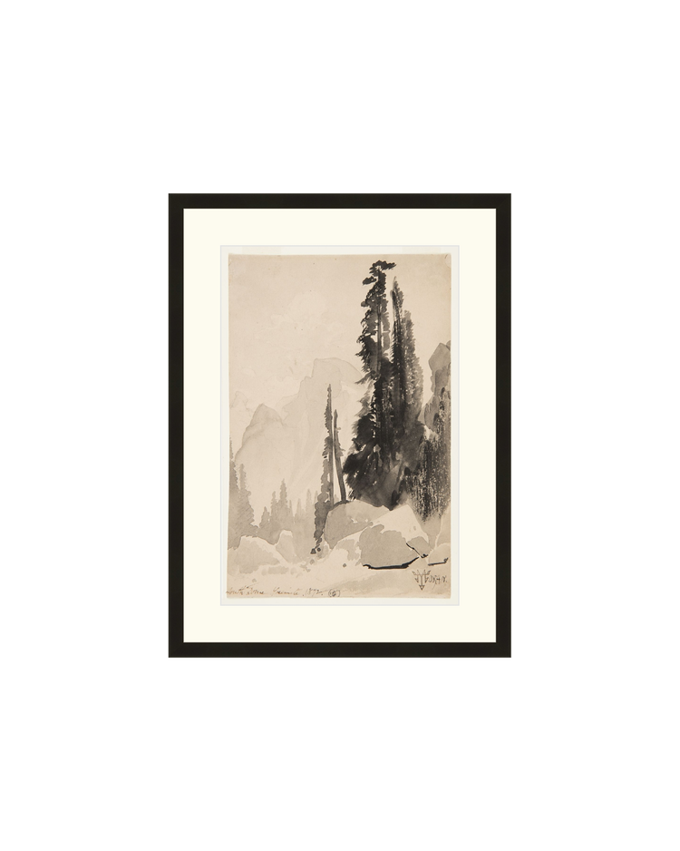 Antique Trees Drawing OAShop