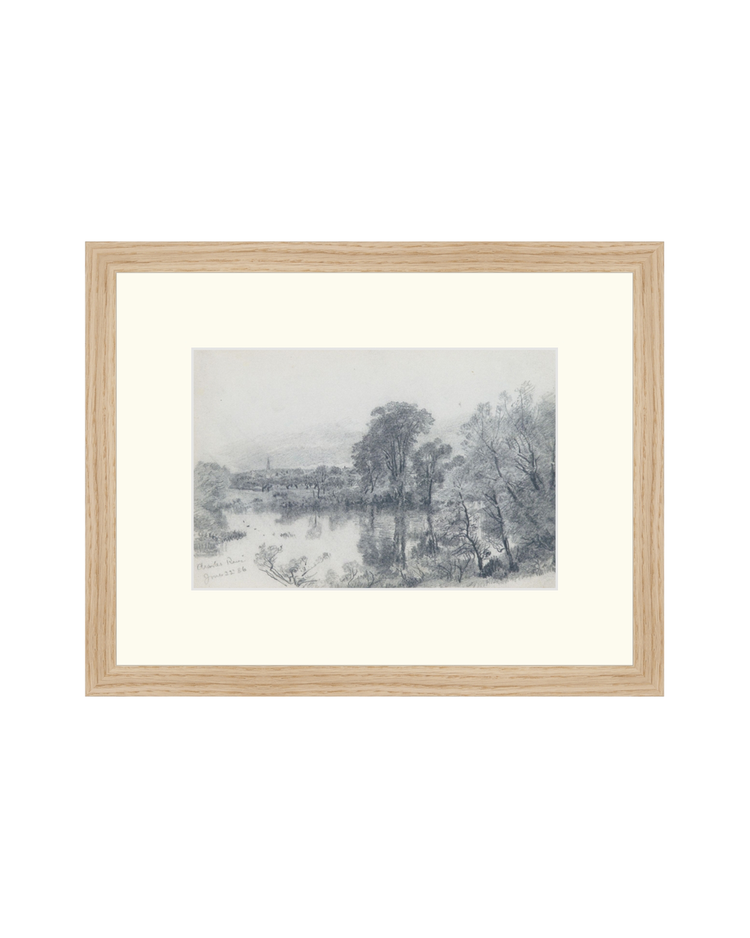 Forest Sketch