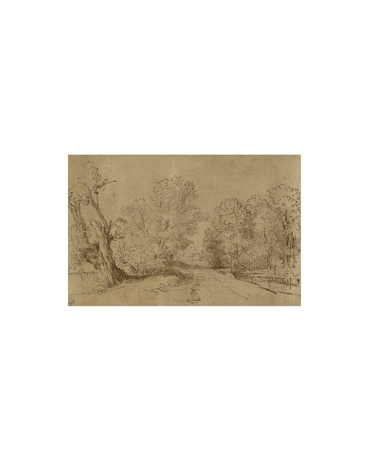 Charcoal Road