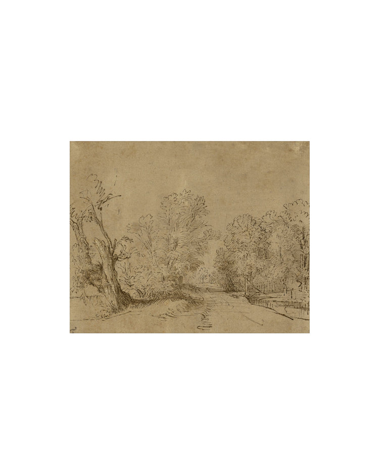 Charcoal Road