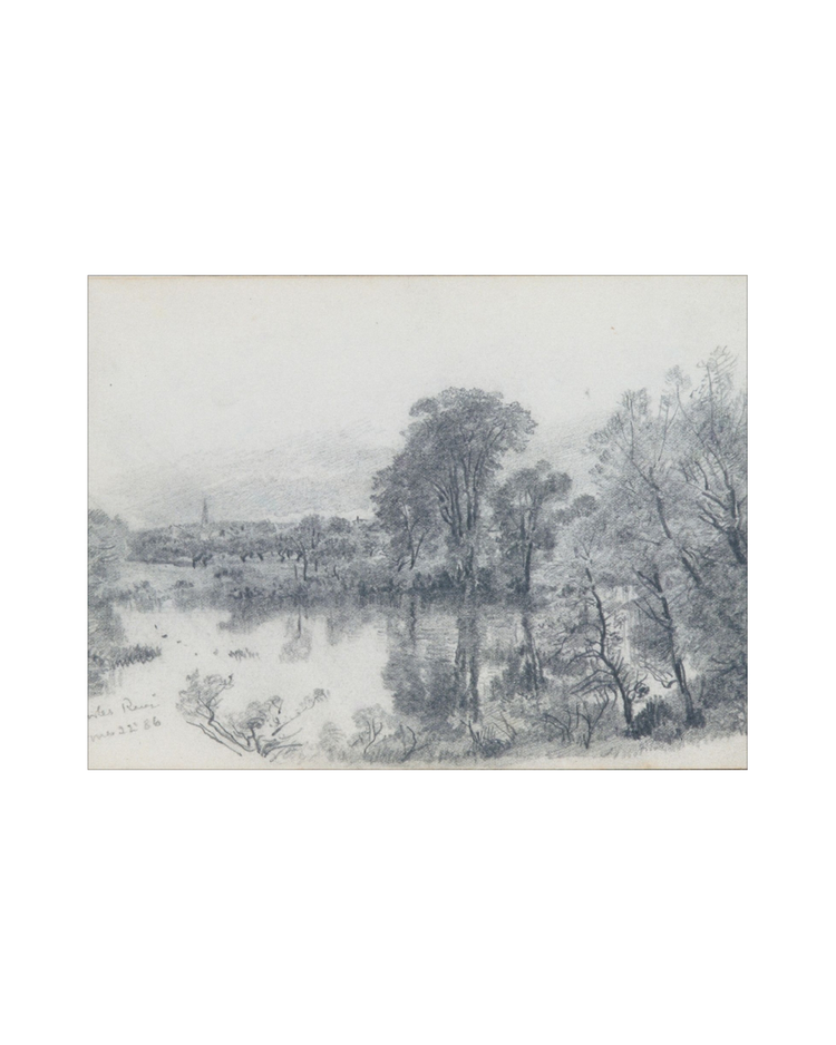 Forest Sketch