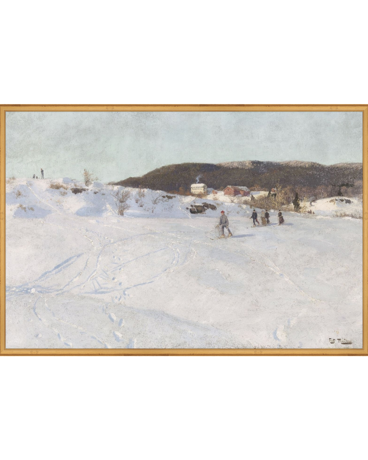 Ice Skating