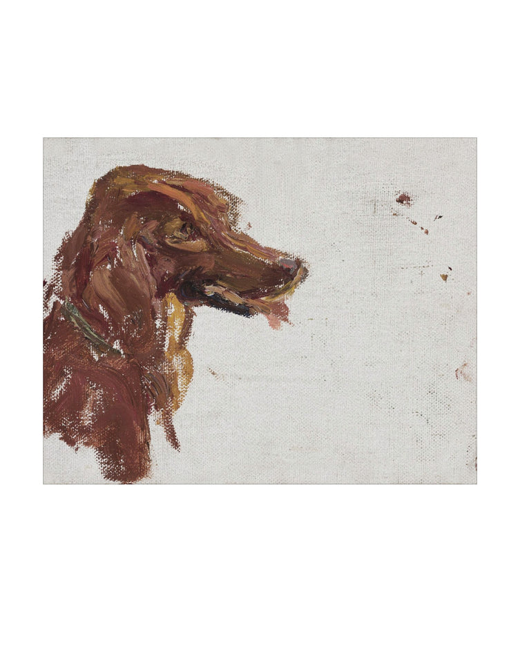 Dog Study
