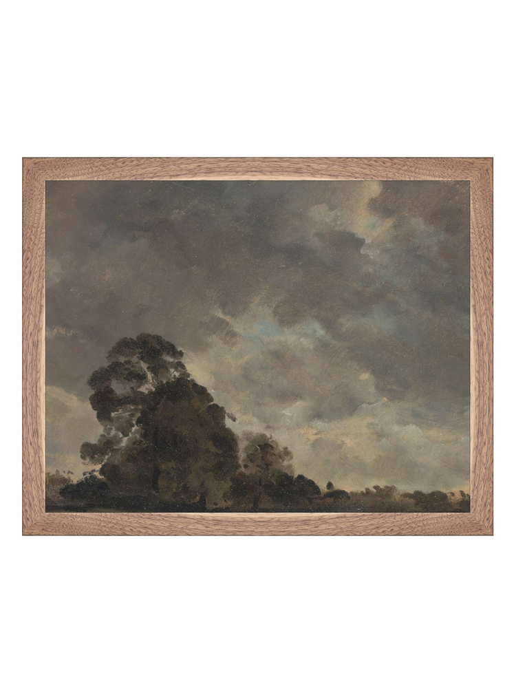 Trees on the Horizon HoJ 2
