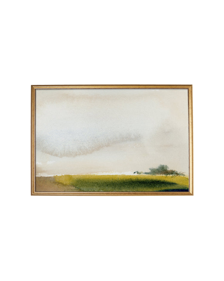 Dream Meadow