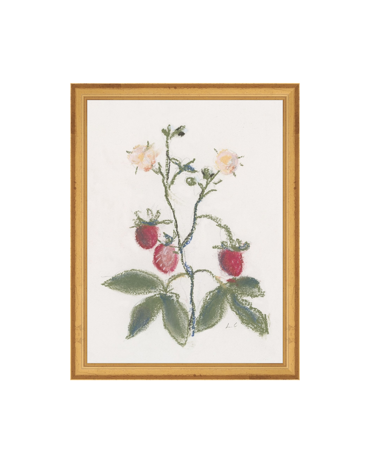 Strawberry Branch