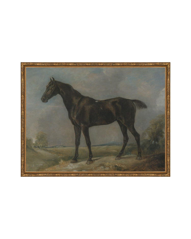 Study of a Horse II